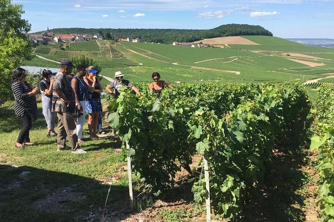 From Paris Full Day Private Tour to the Champagne Region - Good To Know