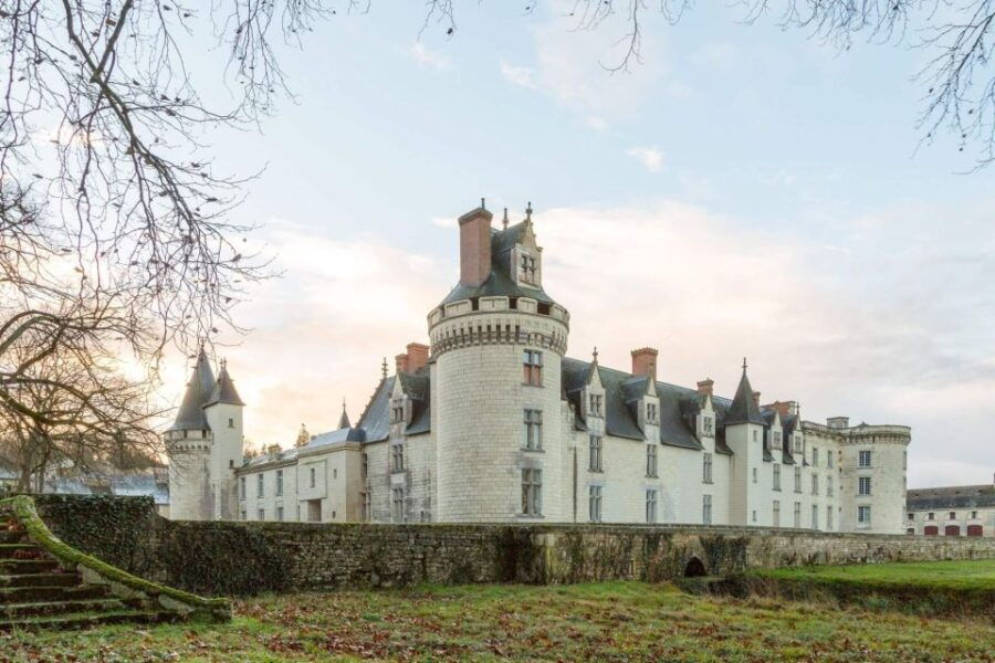 From Poitiers: Private Visit to the Castle of Dissay - Good To Know