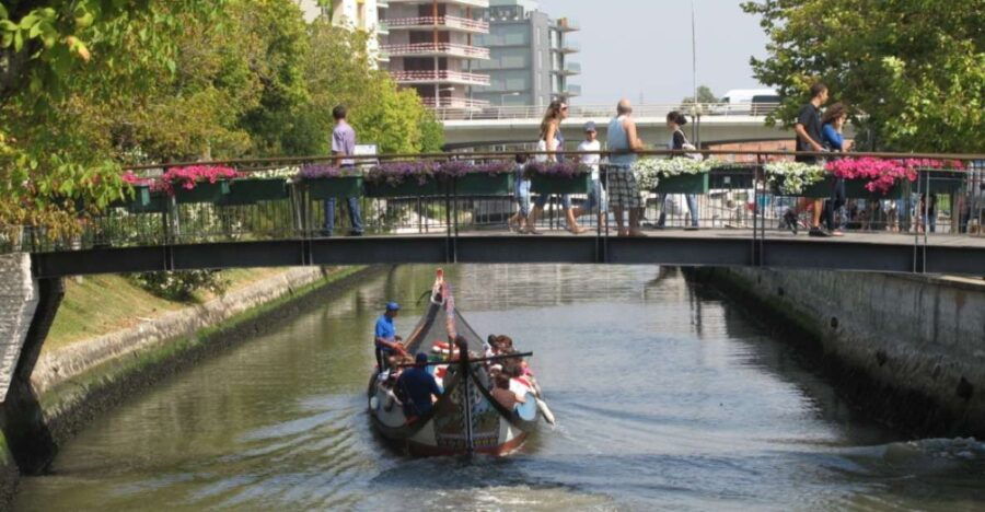From Porto: Private Sightseeing Tour of Aveiro - Good To Know