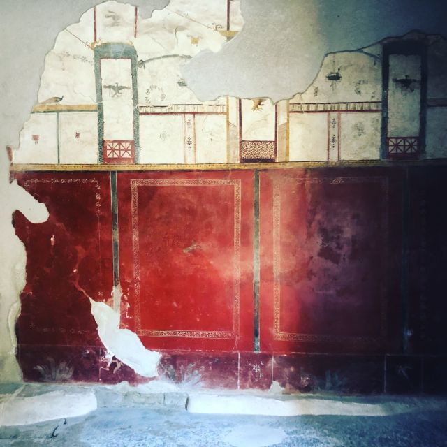 From Positano: Pompeii and Vesuvius Guided Tour - Good To Know