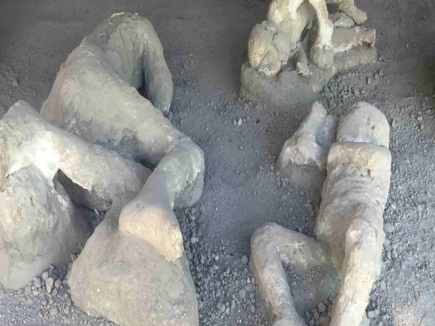 From Rome: Pompeii and Naples Private Day Tour With Lunch - Tour Details