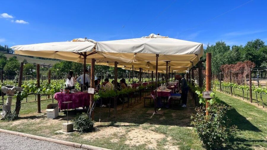 From Rome: Tuscany Full Day Wine Tasting Tour, Small Group - Inclusions