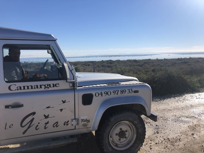 From Saintes Maries De La Mer: Safari and Canoeing - Activity Highlights