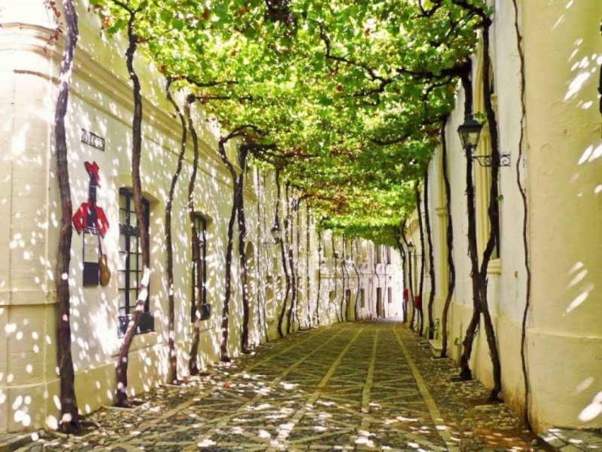 From Seville: Private Day Trip to Jerez and Cadiz - Good To Know