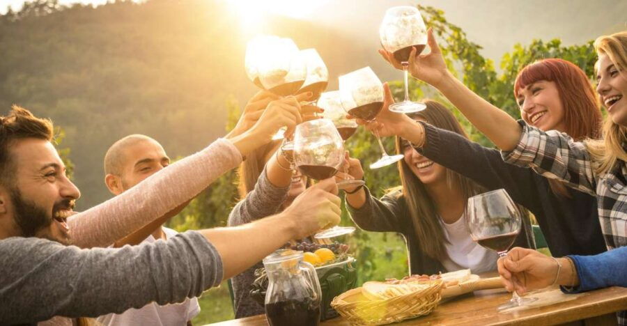 From Sirmione: Lugana Wine Tour - Tour Highlights