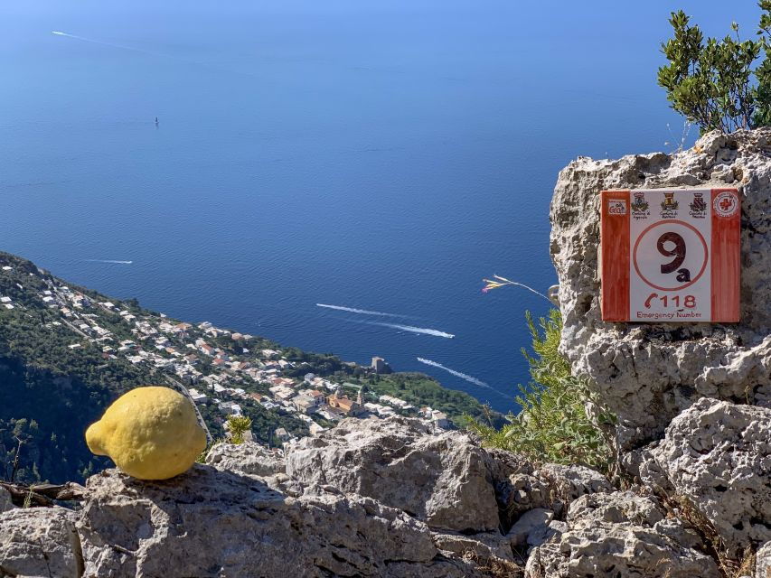 From Sorrento: Path of the Gods Hiking Experience - Inclusions