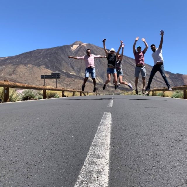 From South Tenerife: Teide National Park Tour