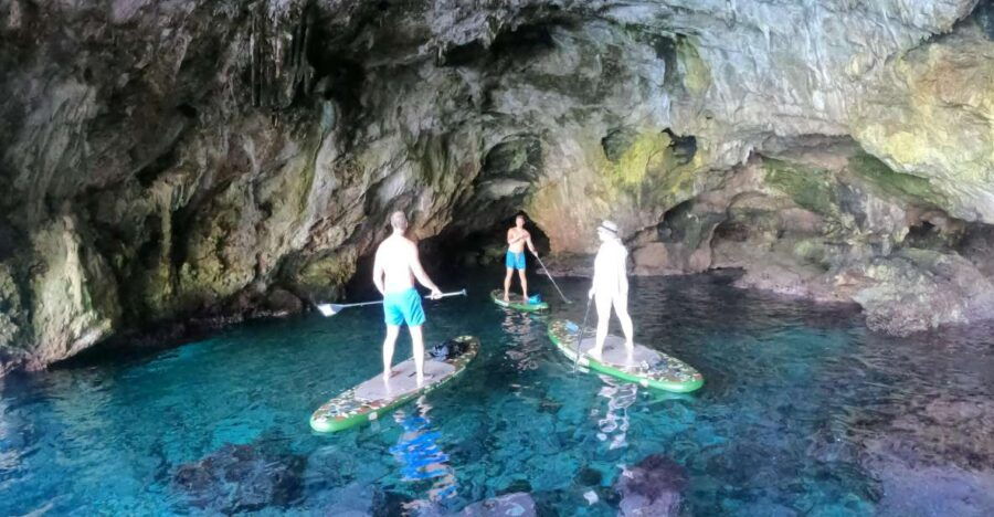 From : SUP SAFARI 3h