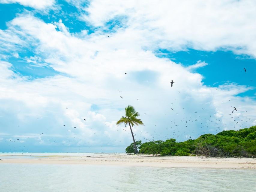 2 Best Sailing Experiences In Papeete