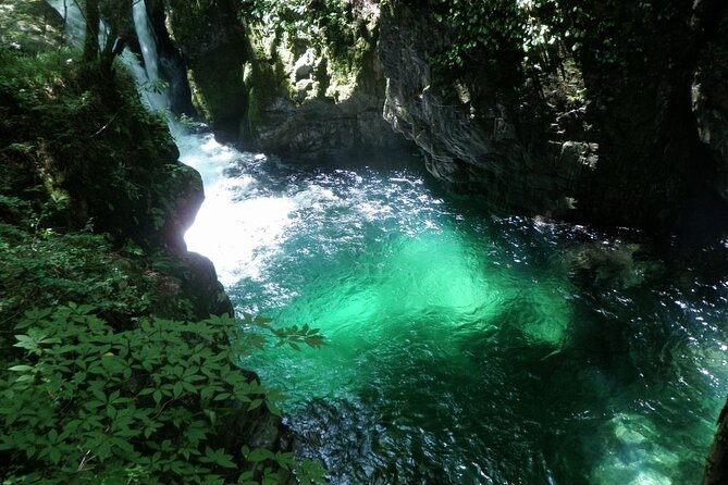 [From Takayama or Gero]Half Day Trip in Hida-Osaka Waterfall - Good To Know