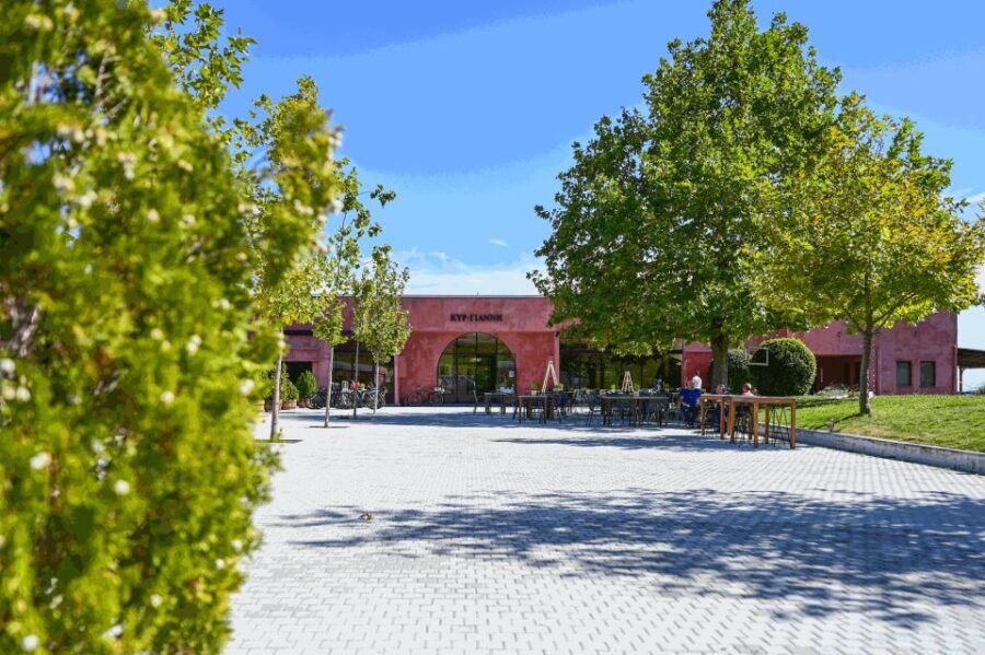 From Thessaloniki: Pella-Edessa Wine Tasting