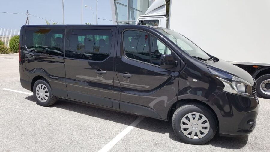 From Trapani: Airport to Port Transfer & Ferry to Favignana - Customer Reviews