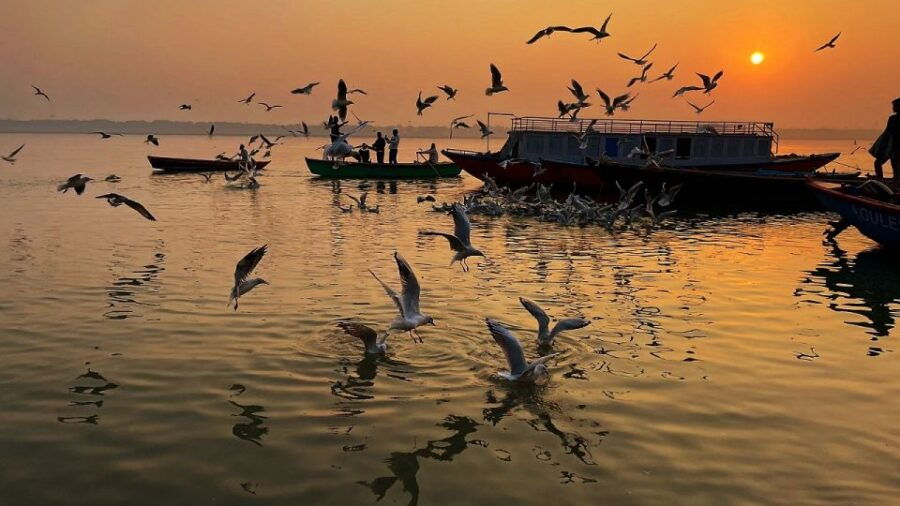 From Varanasi: 3 Days Varanasi Prayagraj Tour