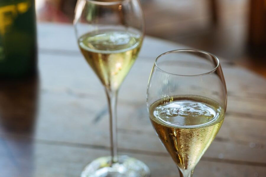 From Venice: Prosecco in a Day Trip - Tour Details
