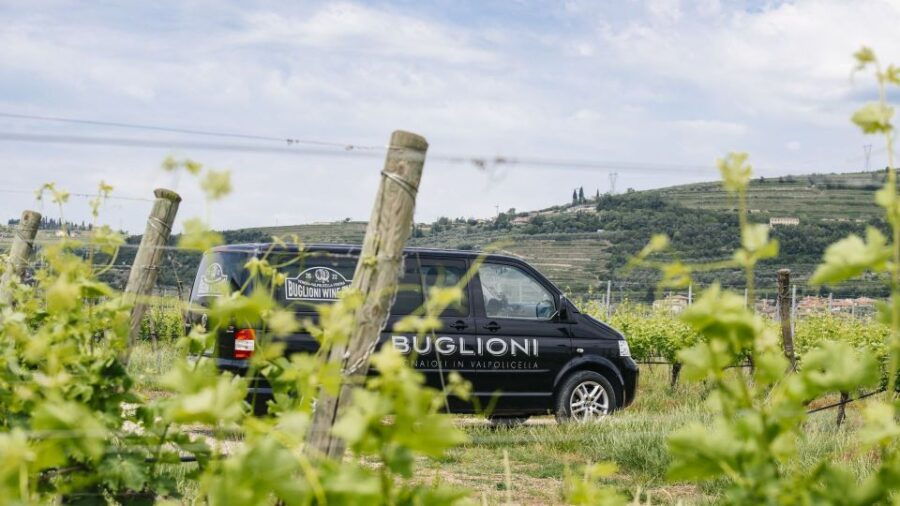 From Verona: Valpolicella Winery Tour With Tastings