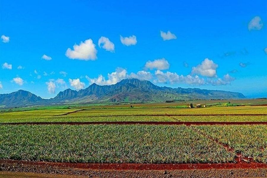 From Waikiki: Oahu Grand Circle Island Experience