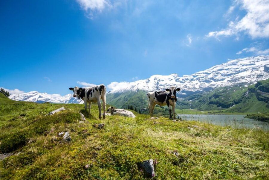 From Zurich: 2-Day Mt.Titlis Including 4-Course Dinner