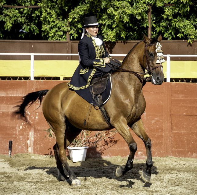 Fuengirola: Spanish Horse Show, Dinner And/Or Flamenco Show