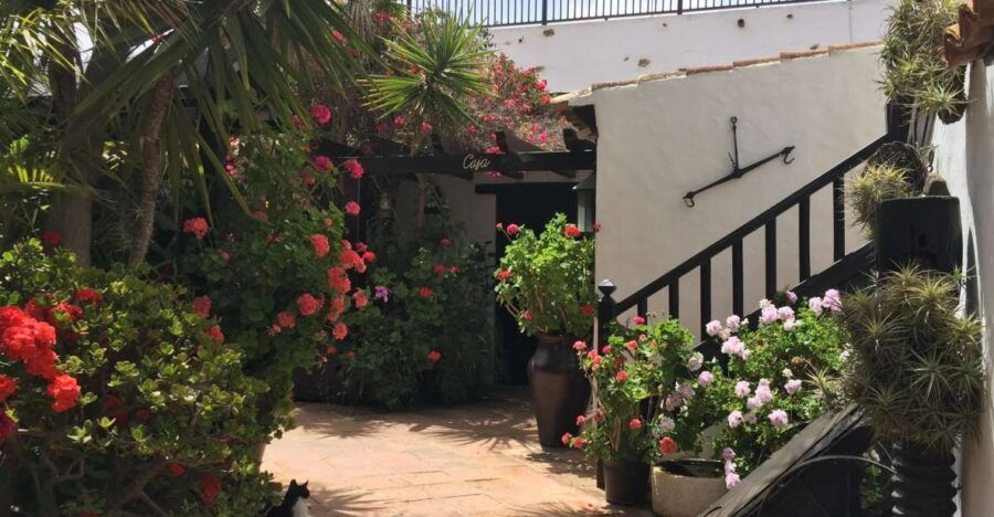 Fuerteventura: Discovery Tour