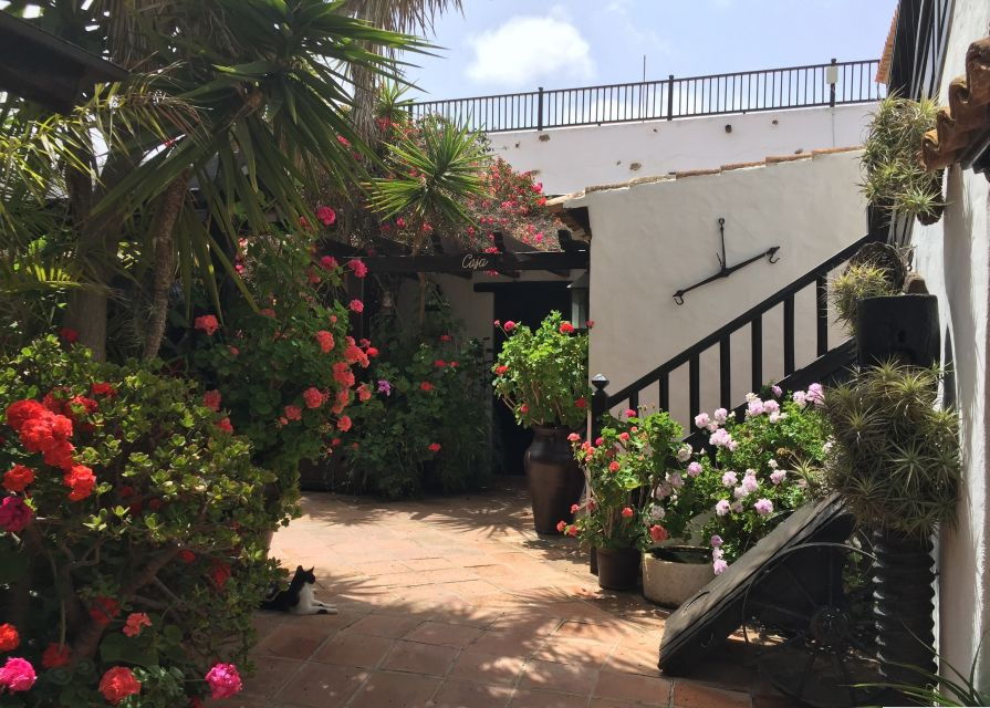 Fuerteventura: Full Day Tour With Lunch - Good To Know