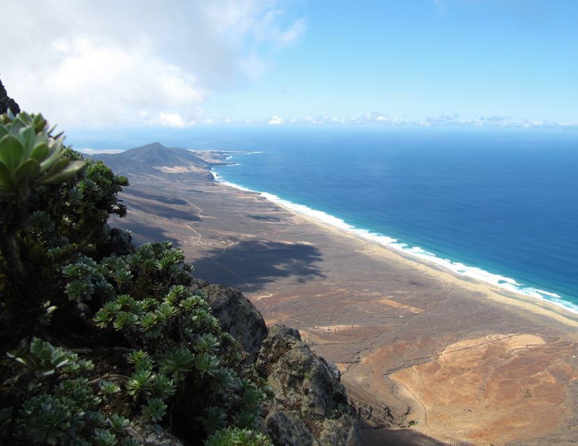 Fuerteventura: Pico De La Zarza Tour