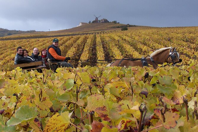 Full Day All-Inclusive Tour in Champagne From Paris in a Minivan - Good To Know