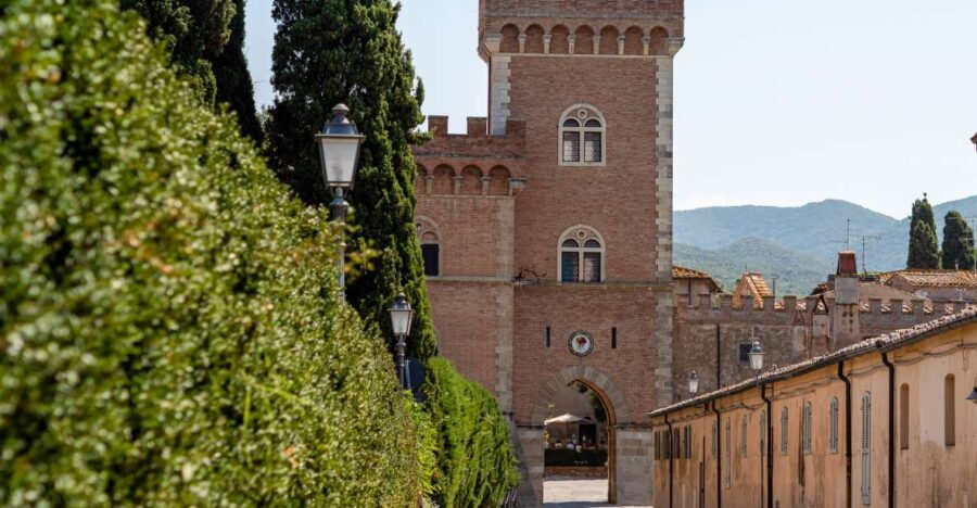 Full Day Bolgheri Tuscan Private Tour From Florence - Good To Know