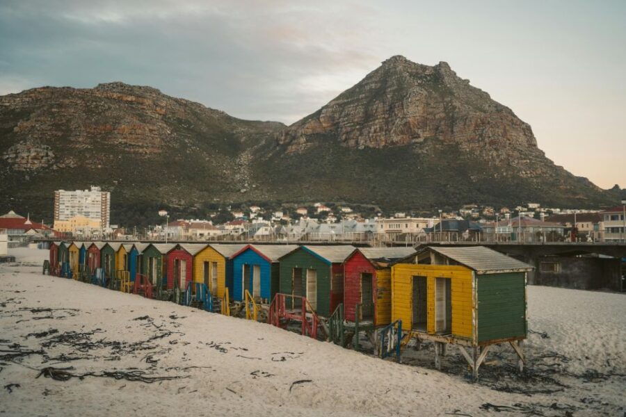 Full Day Cape Penisula Tour: Chapmans Peak – Cape Point