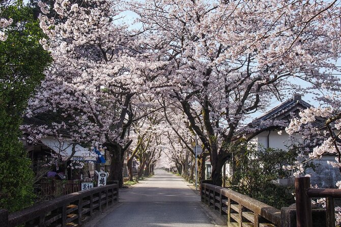 Full Day Charter Bus Private Tour in Kumamoto and Asakura - Good To Know