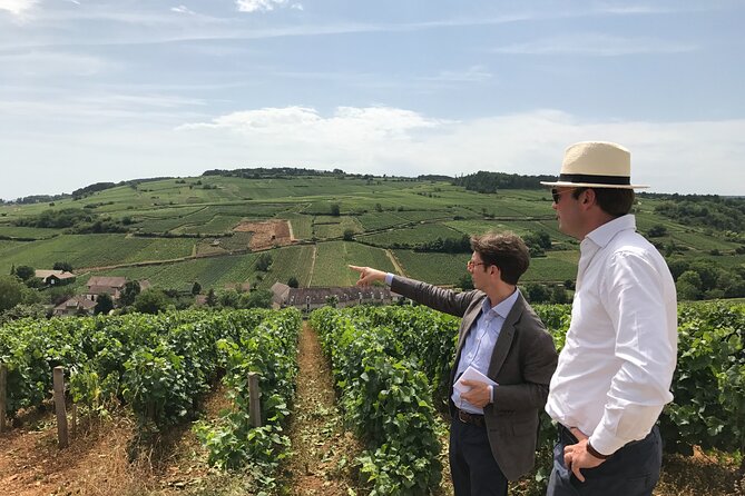 Full Day From Beaune: the Most of Burgundy, With Lunch