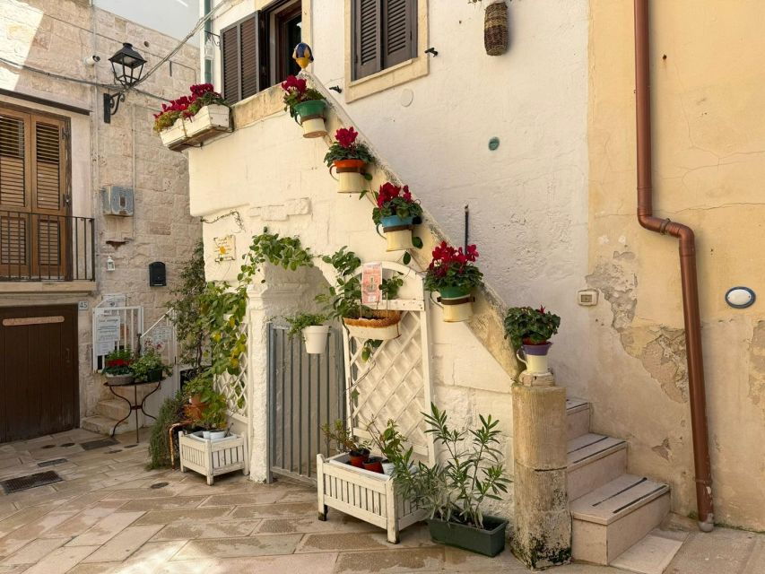 Full Day : From Matera to Alberobello, Polignano, and Bari