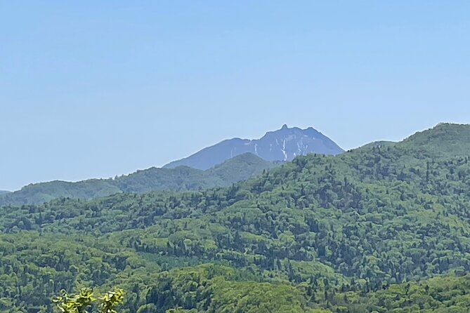 Full Day Green Season Hiking in Hokkaido