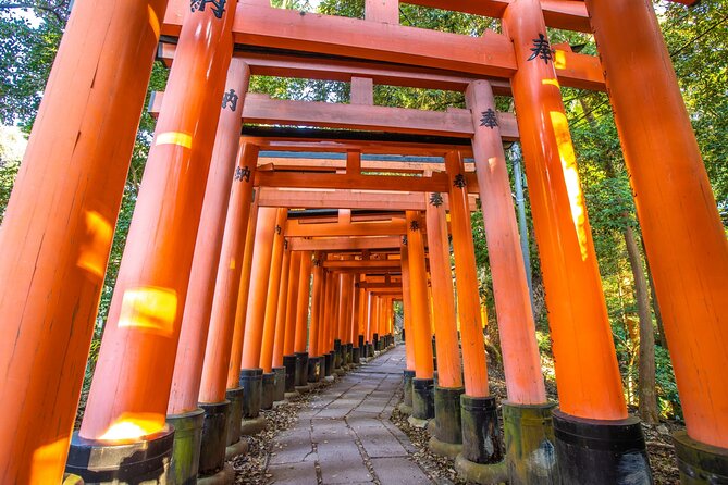 Full Day Guided Tour to Kyoto and Nara From Osaka