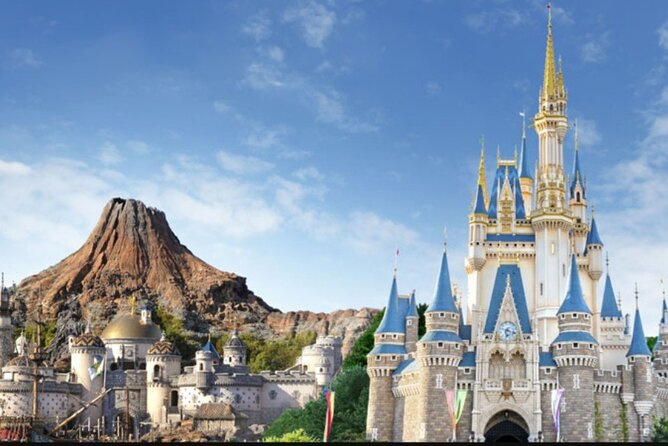 Full Day Private Guided Photographer and Driver in Tokyo Disney - Good To Know