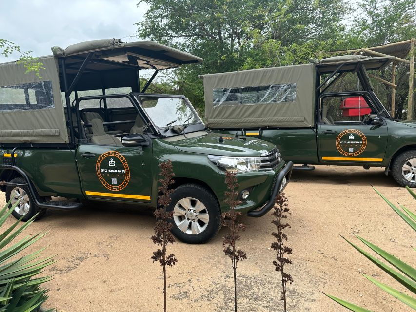 Full Day Private Kruger Safari From Hazyview