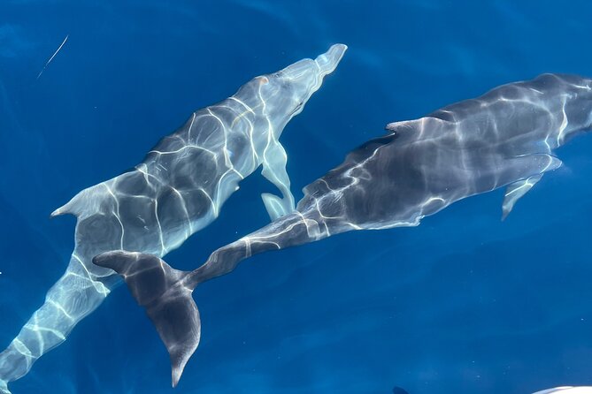 Full Day Private Tour in Blue Cave With a Speedboat - Good To Know