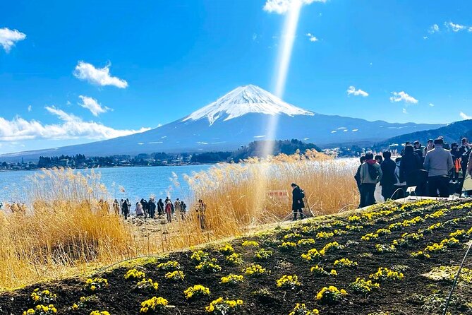 Full Day Private Tour in Mount Fuji