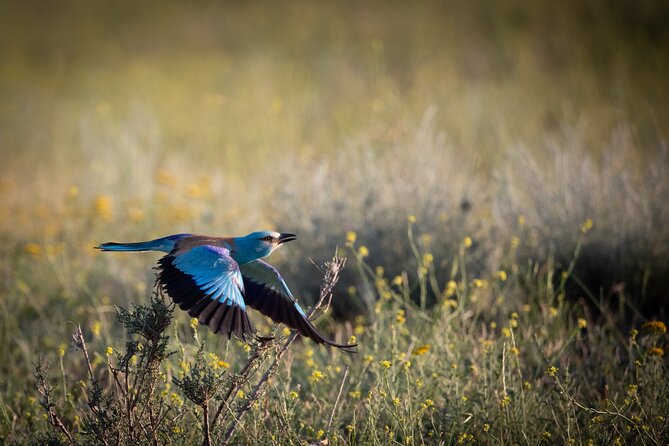 Full-Day Private Wilderness Tour in Vashlovani National Park - Tour Details