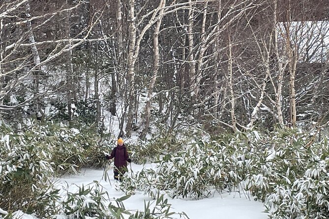 Full Day Snowshoeing Adventures.