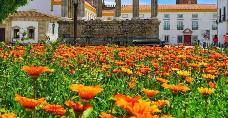 Full-Day Tour From Lisbon to the History of Évora.