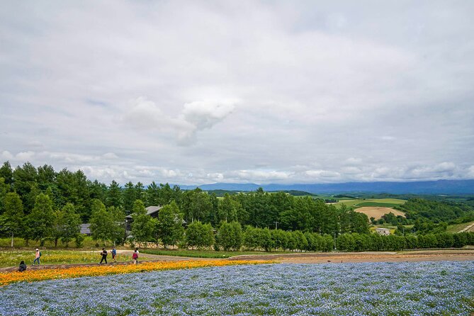 Full Day Tour Hokkaido Biei Green Pond and Furano Flower Sea - Good To Know