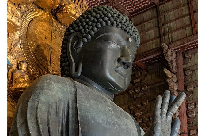 Full-Day Tour in Uji and Nara With Lunch - Good To Know