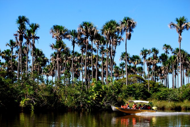 Best Full-Day Tours In Barreirinhas