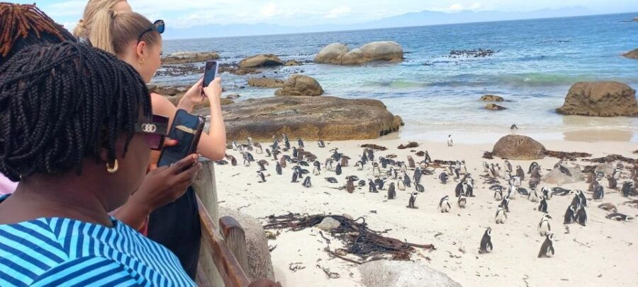Full-Day Tour to Cape of Good Hope & Penguins From Cape Town