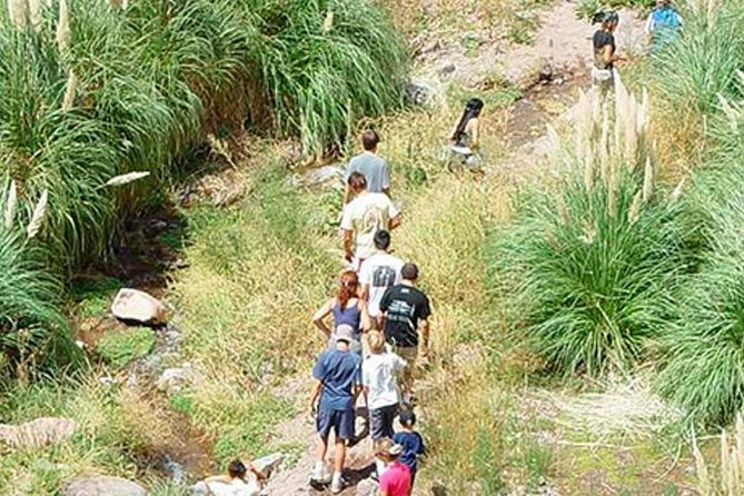 Full Day Trekking to Vallecitos, From Mendoza