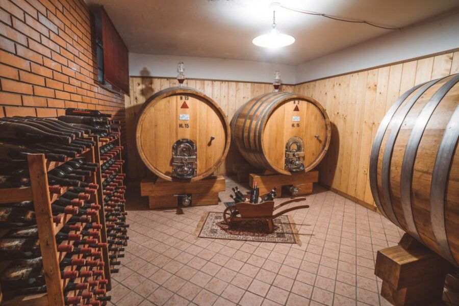 Fumane: Wine Tasting in a Family-Run Winery in Valpolicella