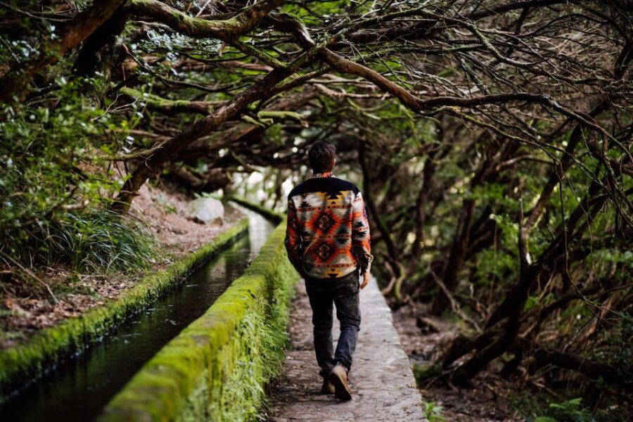 Funchal and Caniço: Hiking Trails Roundtrip Shuttle Bus