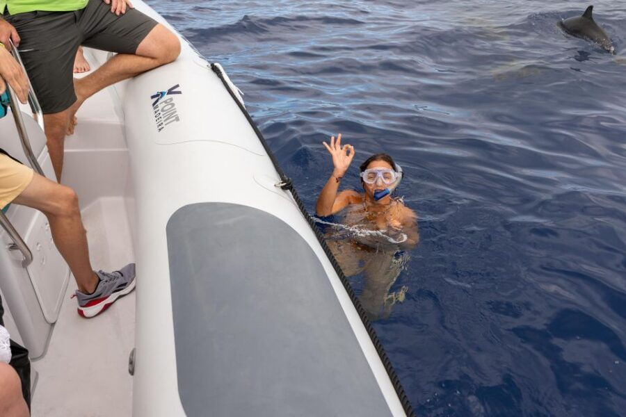 Funchal: Dolphins and Whales Watching Tour by RIB Boat - Good To Know