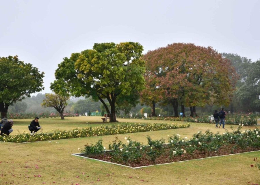 Garden Trails of Chandigarh (Guided Full Day City Tour) - Description