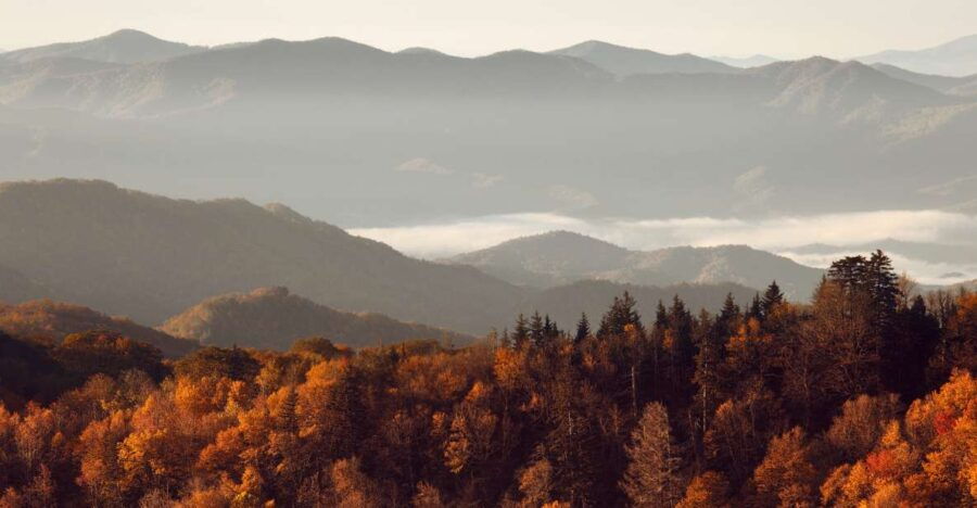 Gatlinburg: App-Based Great Smoky Mountains Park Audio Guide - Good To Know
